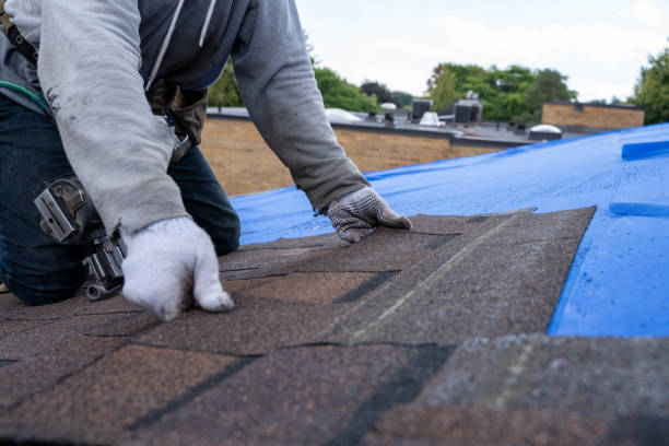 Best Residential Roofing Contractor  in Girard, IL