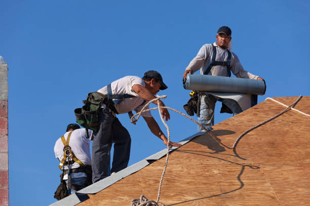 Best Roof Waterproofing Services  in Girard, IL