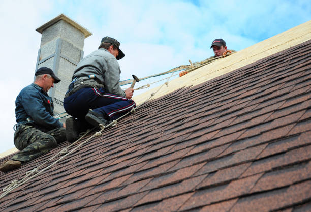 Best Roofing Contractor Near Me  in Girard, IL